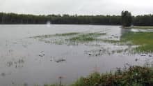 A watery field in the Siikajoki region. 