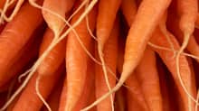 Carrots.