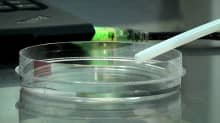 Sähköinen nenä haistelee maljaa laboratoriossa