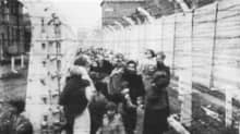 Vankeja Auschwitzin keskitysleirillä.
