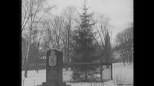 Itsenäisyyden kuusi Helsingissä vuonna 1940.
