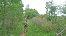 Metsähallituksen suojelubiologi Marko Sievänen kävelee katajahakkeella katettua polkua Selkä-Sarven saaressa.