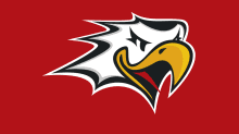Vaasan Sport logo SM-liiga Liiga