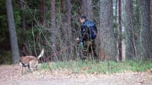 Poliisi tutkii koiran kanssa nuorisotalo Rientolan pihapiiristä alkavaa metsärinnettä Joutsenossa. 