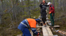 Kenttäpäällikkö Olli Vainio ja talkoolaiset korjaamassa pitkospuita Martimoaavan soidensuojelualueella.