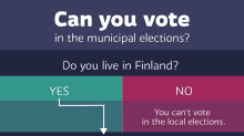 Options to vote in the municipal elections