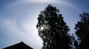 Halo