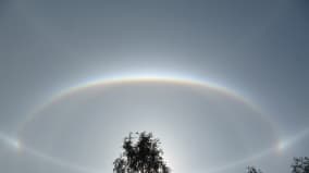 Halo