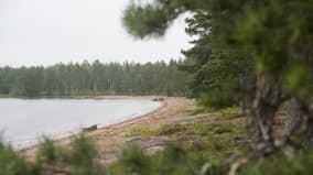 Ranta