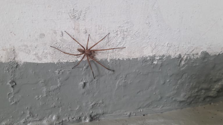 Jopa Kymmensenttiseksi Kasvava Varastoh m h kki Voi S ik ytt 