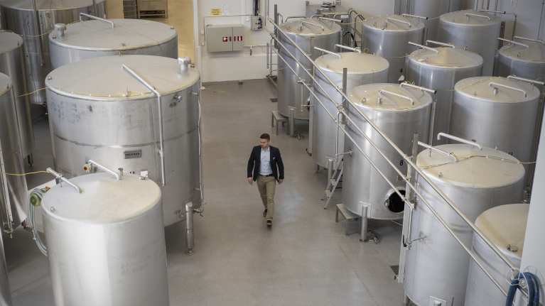 Harri Nylund Lignell & Piispasella