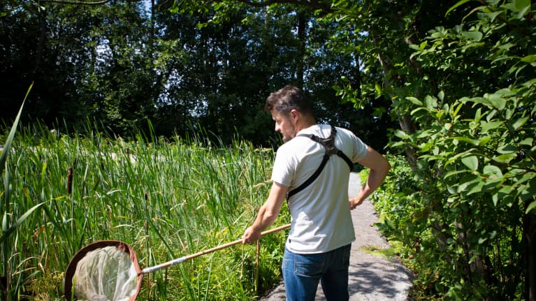 luontoharrastaja Petro Pynnönen hyönteishaavin kanssa lammen rannassa Lohjalla