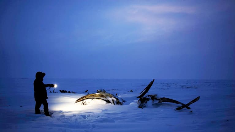 Mies valaisee taskulampulla valaanluita Alaskassa.