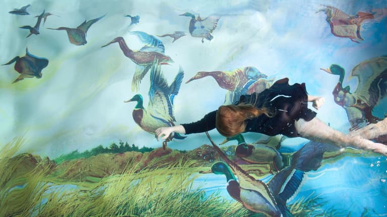 Suomen valokuvataiteen museo, Susanna Majuri