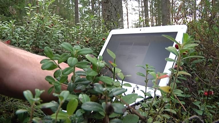 Tietokone varvikossa. 