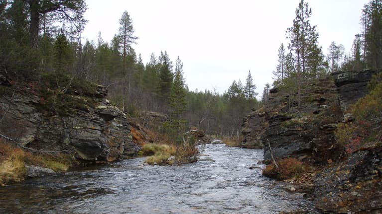 Puro UK-puistossa syyskuussa 2012