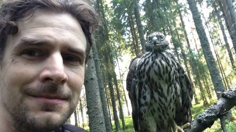 Kuvassa Jani Ylikangas ja kanahaukka