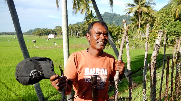 Bahagia, mies riisipellon laidalla.