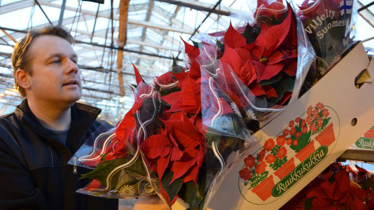 ESa Järvelä ja joulutähdet lähdössä myyntiin.