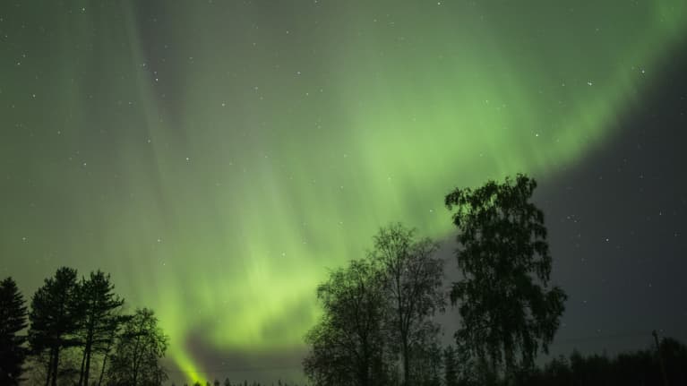Revontulet leimuavat Olkkajärvellä.Revontulet leimuavat Rovaniemen Olkkajärvellä syksyllä 2015.