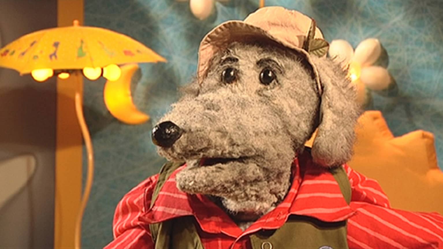 Ransu saavutti koiran iän - ja vähän enemmänkin | Yle