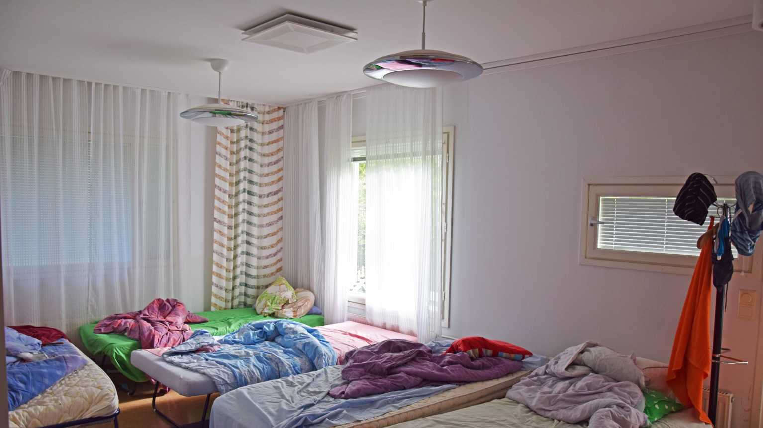 Harley Quinn porno oyin