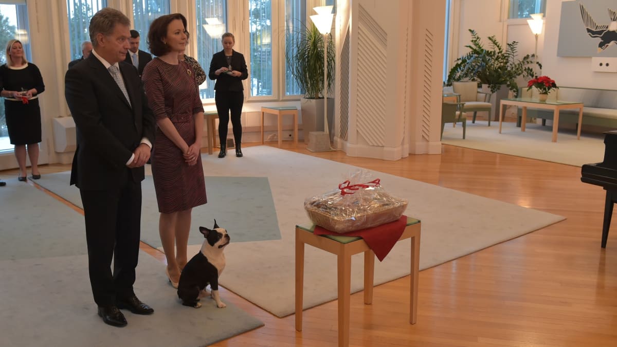 Uutisvideot: Presidenttipari vastaanottaa joulutervehdykset Mäntyniemessä