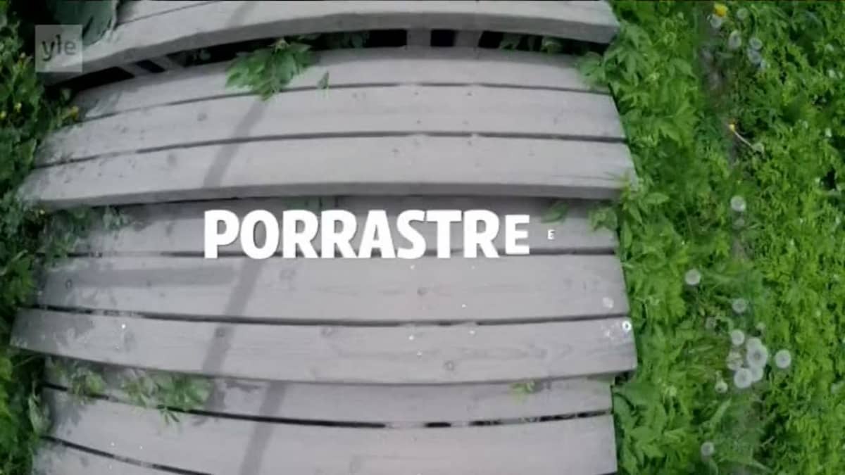 Uutisvideot: Porrastreeni ei jätä ketään kylmäksi