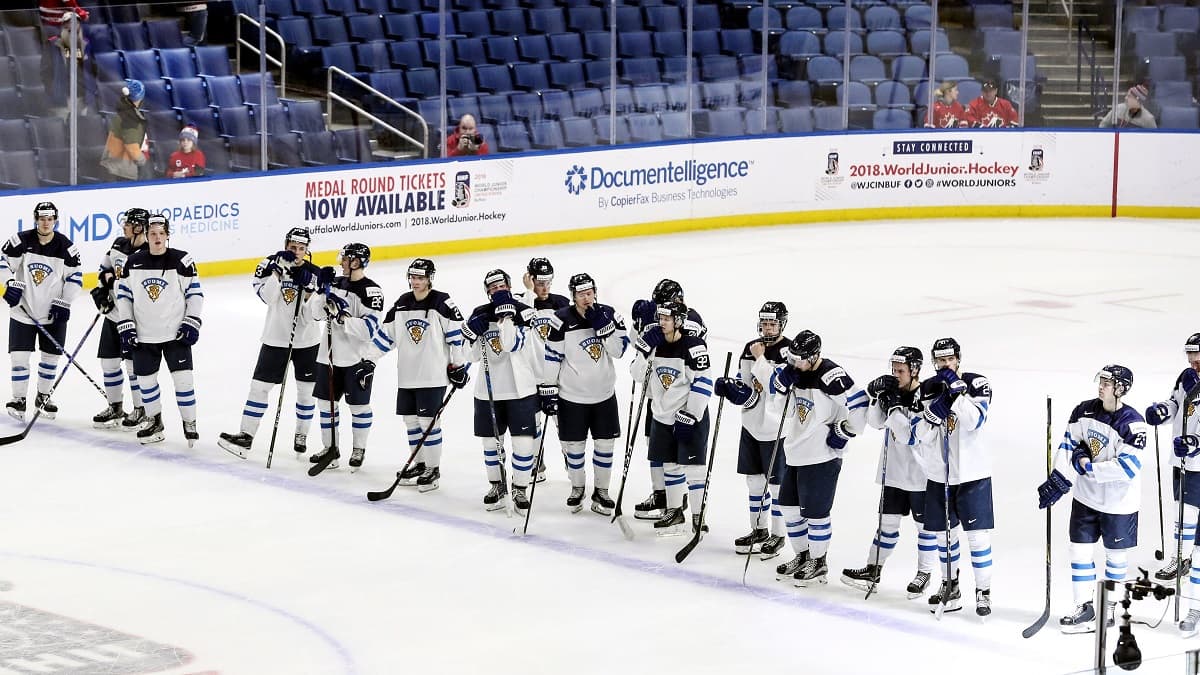 nuoret leijonat suomi