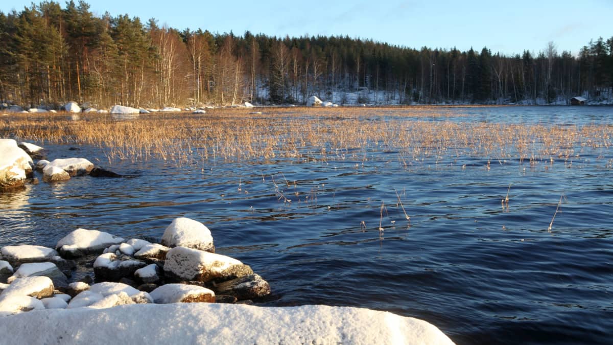 Päijänne Tammikuun 8. 2018.
