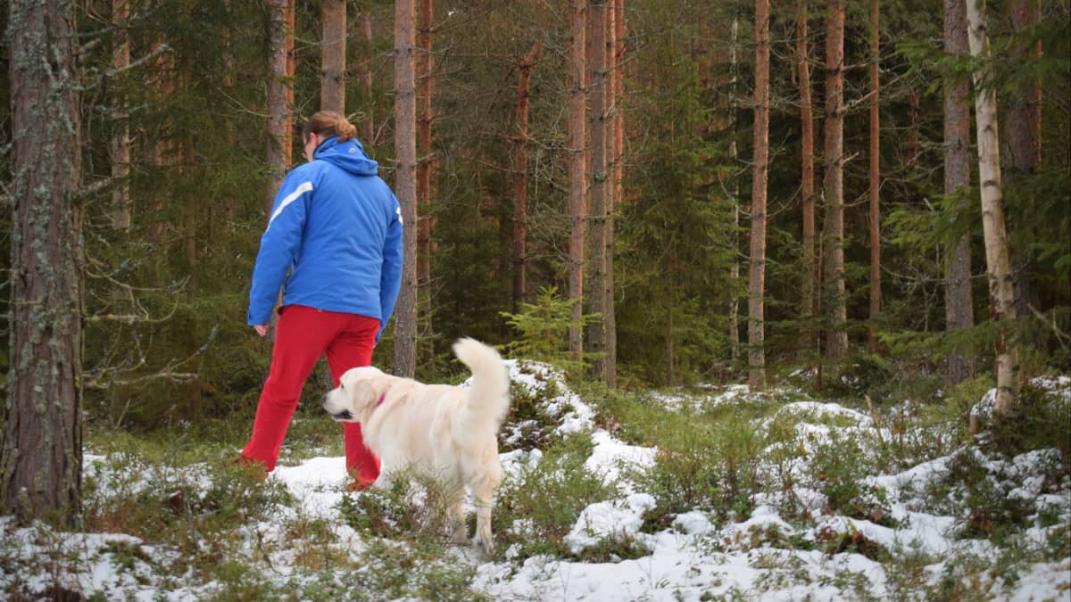 Teemu Levomäki kävelyllä metsässä koiransa kanssa.