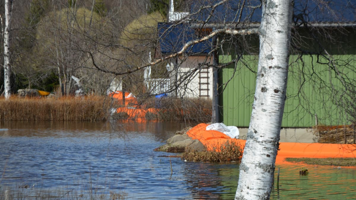 Kyrönjoen tulvaa Mustasaaressa 21.4.2018