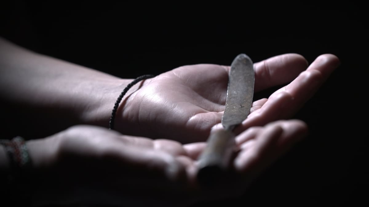 Erillislaki silpomisen kieltämiseksi Suomessa jakaa mielipiteet, mutta siitä ollaan samaa mieltä, että ratkaisun avaimet ovat tiedottamisessa, koulutuksessa ja avoimessa keskustelussa.