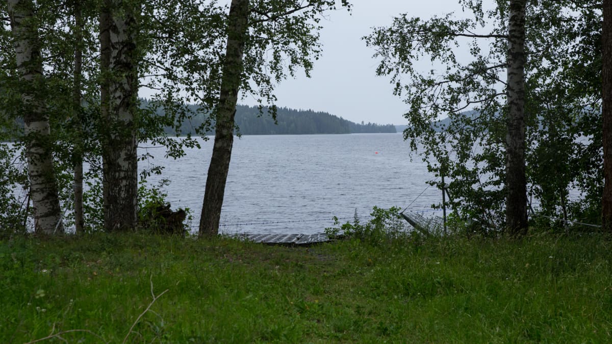 Kuopion Neulalahden järvimaisemaa.
