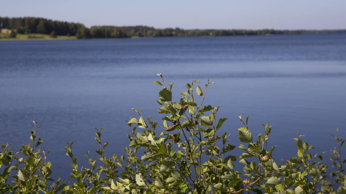 Järvimaisemaa Sukevalla.