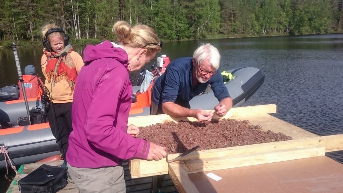 Tutkijat tutkivat järven pohjasta kaivettua sedimenttiä