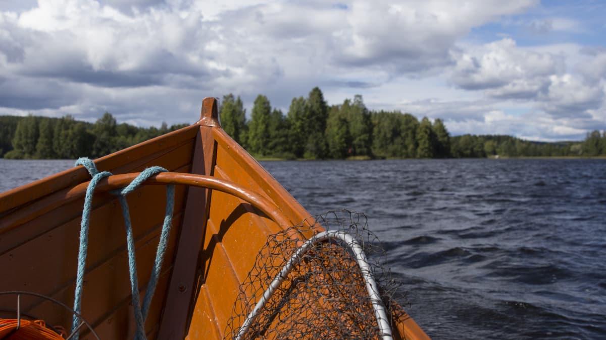 Vene kulkee järvellä, kokassa on haavi.