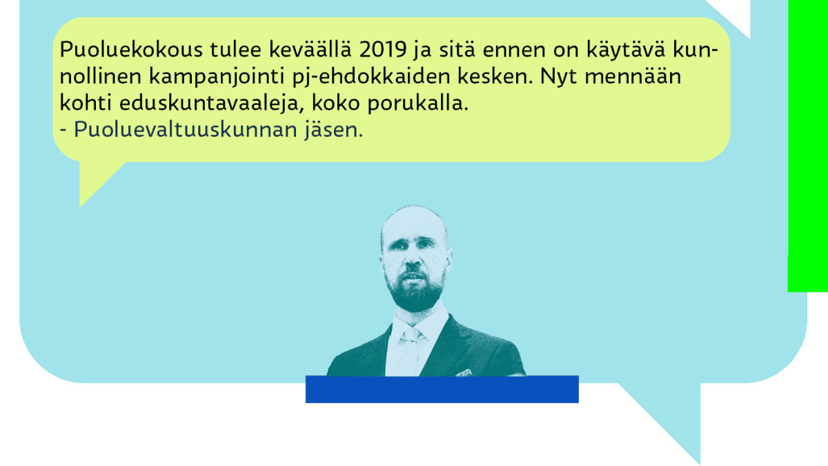 Yle selvitti kyselyllä vihreiden mielipiteitä puheenjohtaja Touko Aallosta.