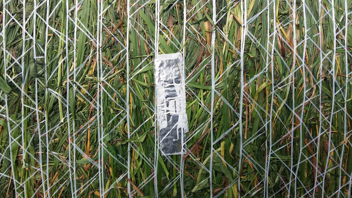 Lähikuva rehupaalin tunnistetarrasta