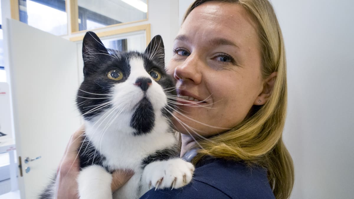 Eläinlääkäri Jenni Nystedt pitelee sylissään Teppo-kissaa.