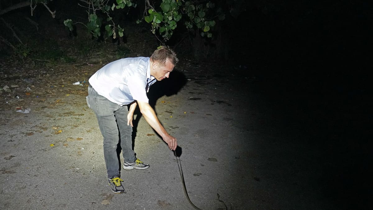 Mika pitää käärmettä hännästä