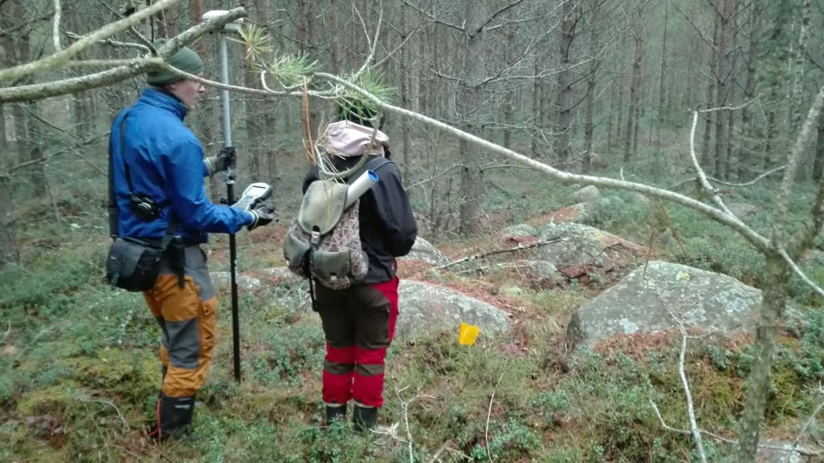 Sievin Kiurunkankaalta löytyi syksyllä 2018 merkkejä rautakautisesta polttokalmistosta.
