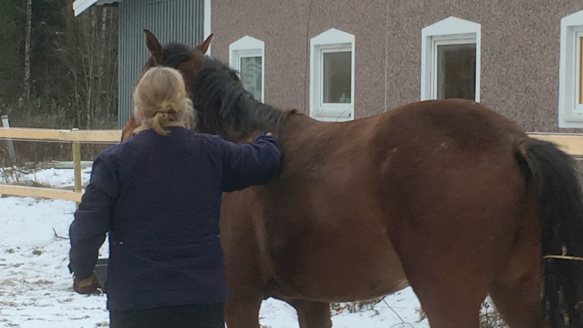Mäntsäläläinen hevostalliyrittäjä Tiina Ahlqvist