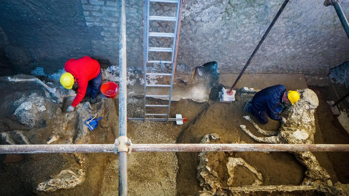 Muinaisen Pompeijin alueelta kaivetusta talllista on löydetty useiden hevosten jäänteitä.