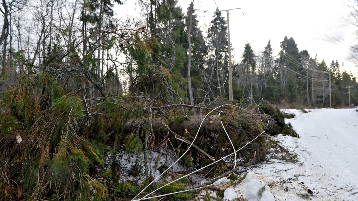 Myrskyn katkomaa sähkölinjaa Vaasassa 2. tammikuuta 2019. 