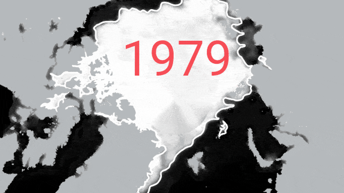 Napajään pinta-ala 15.9. 1979–2018 (materiaalista puuttuvat vuodet 1981, 1983 ja 1984). Valkoinen rajaviiva kuvassa, on vuoden 1979 jääpeitteen laajuus. 