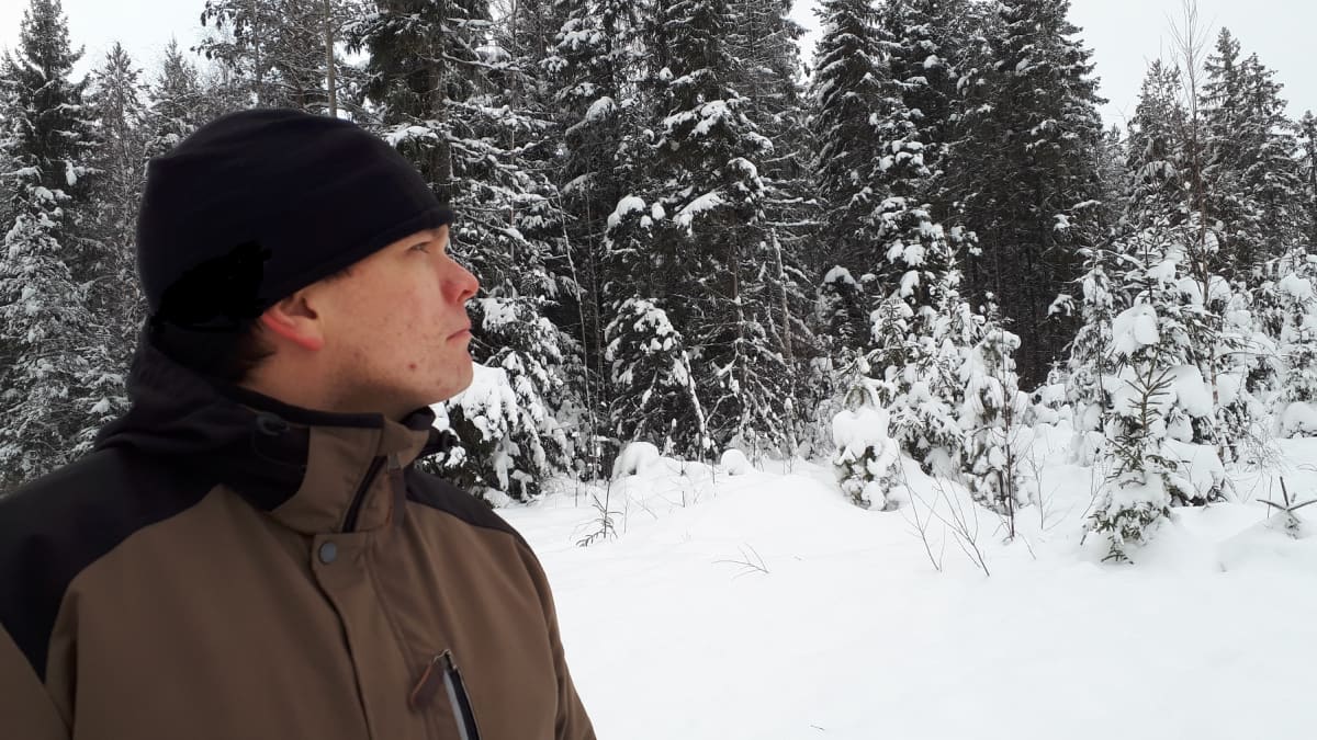 Jussi Posio, metsäasiantuntija