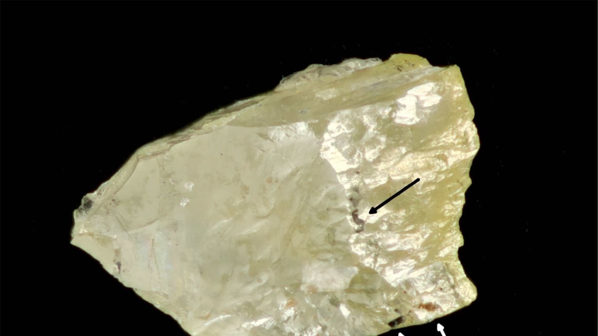 Lähikuva Tankavaaran timantista