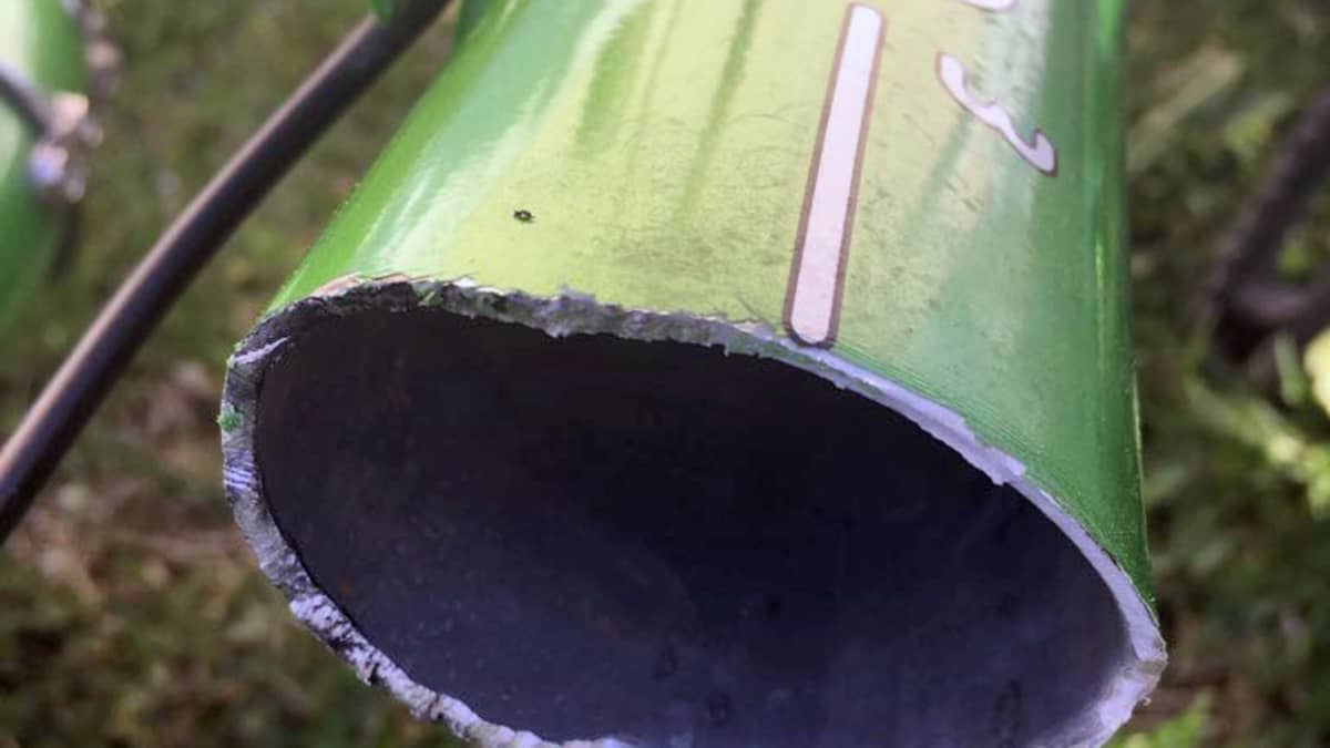 katkennut jopon runko lähikuvassa
