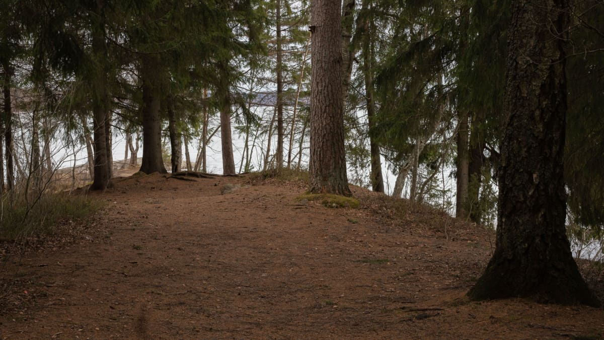 Kaivauspaikka Bodominjärvellä. 